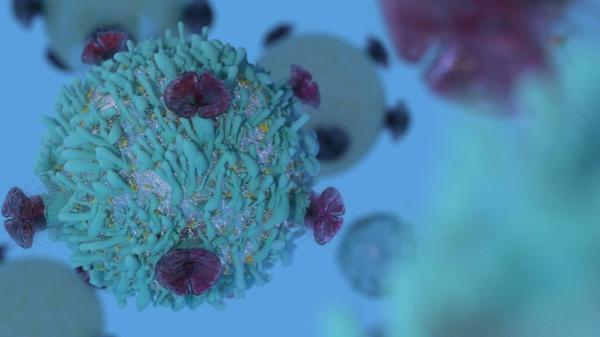 نتایج مثبت داده های پیش بالینی سیستم تحویل نانوذرات ضدسرطان